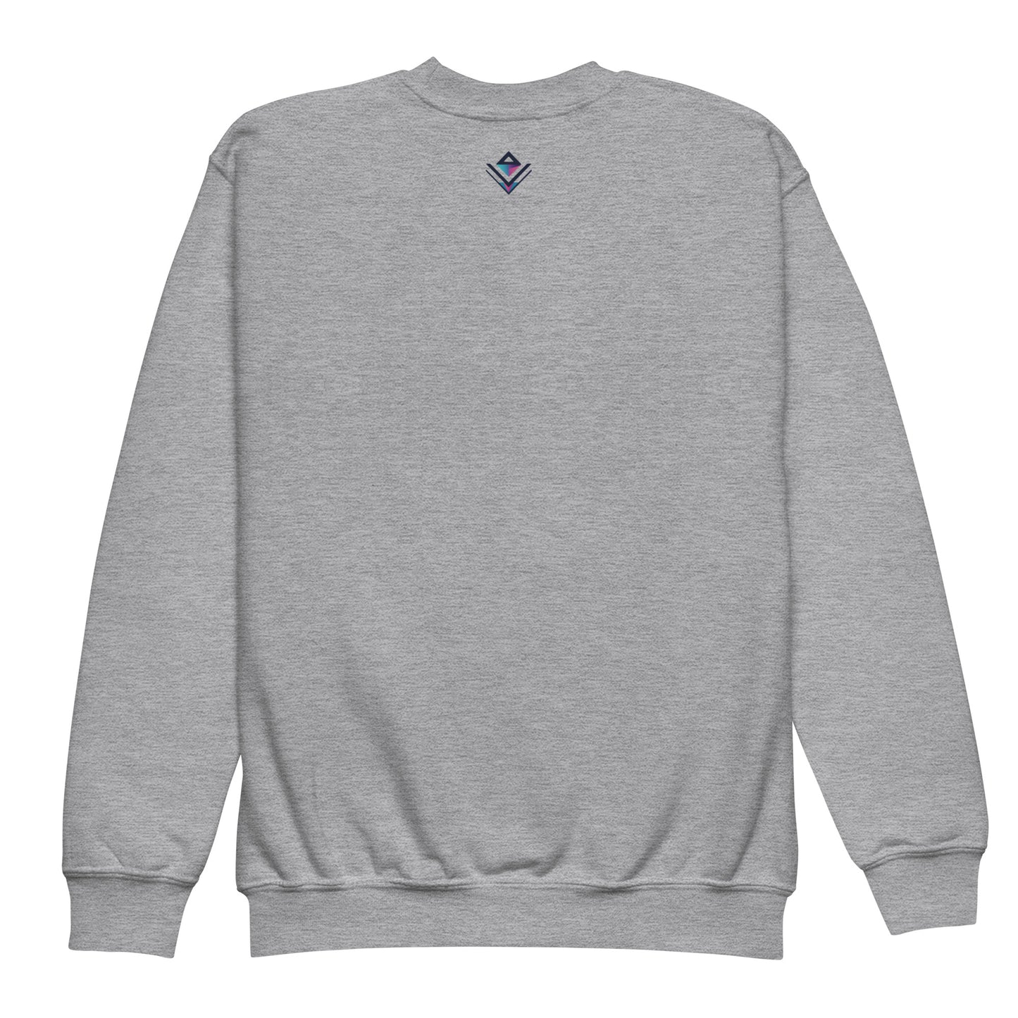 Youth crewneck sweatshirt