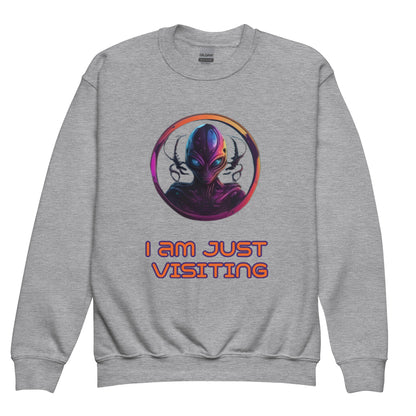 Youth crewneck sweatshirt