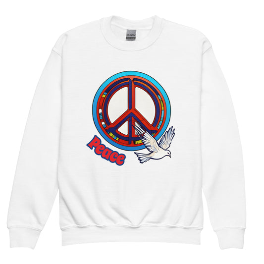 Youth crewneck sweatshirt