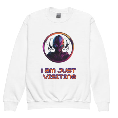 Youth crewneck sweatshirt