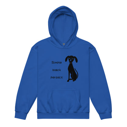 Youth heavy blend hoodie